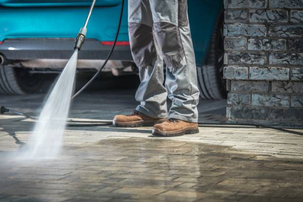 Best Building Exterior Washing  in Rogersville, TN
