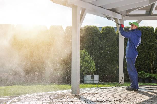 Best Soft Washing  in Rogersville, TN